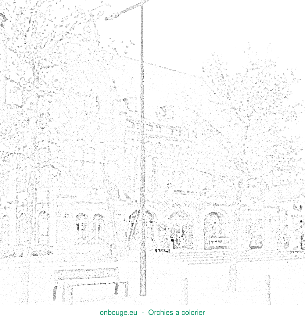 Coloriage d’Orchies