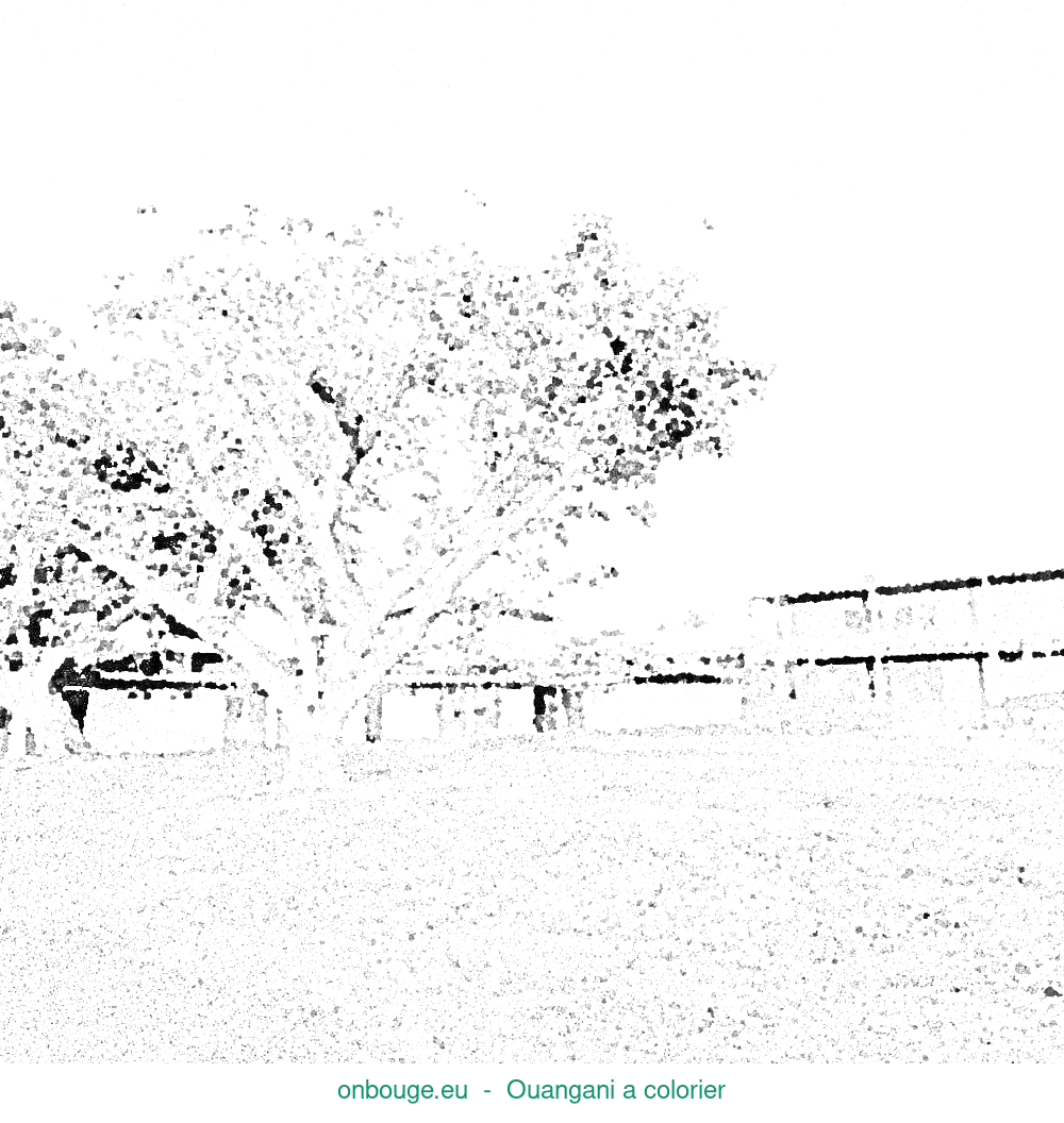 Coloriage d’Ouangani