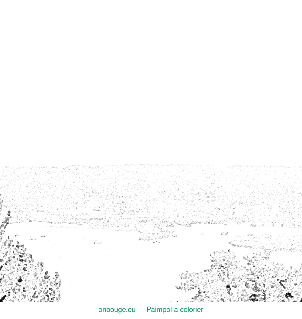 Coloriage de Paimpol
