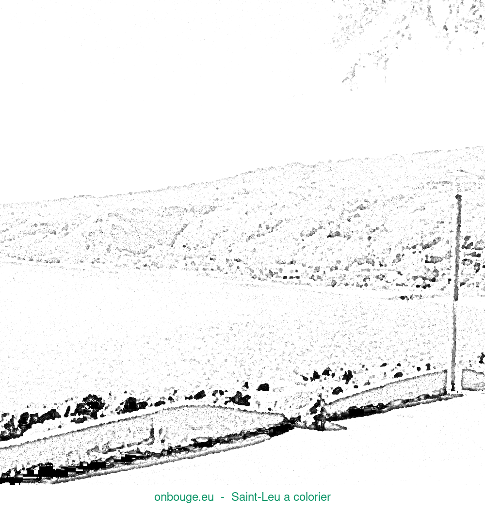 Coloriage de Saint-Leu