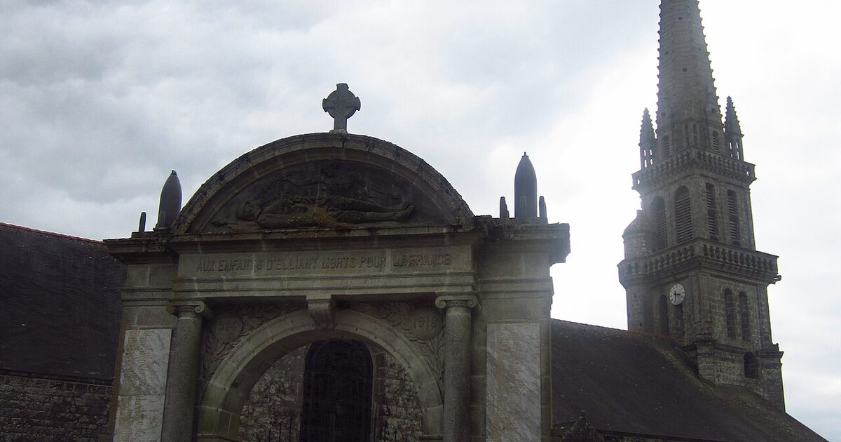 Elliant — photo réelle (Wikimedia Commons, El Funcionario)