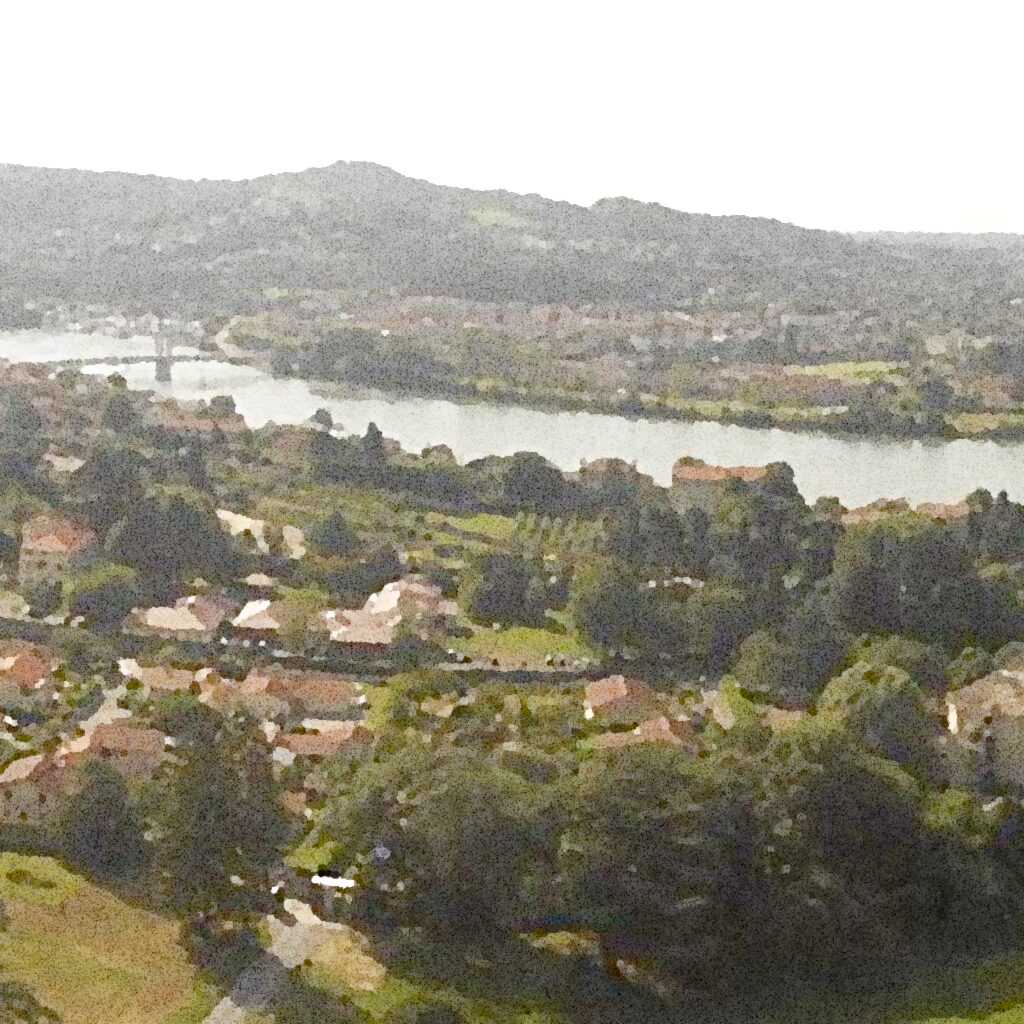 Condrieu
