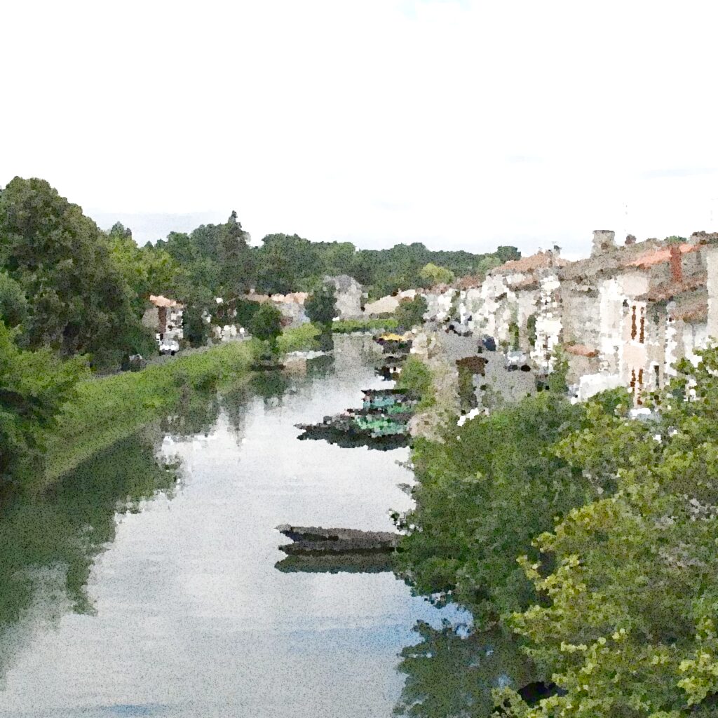 Coulon
