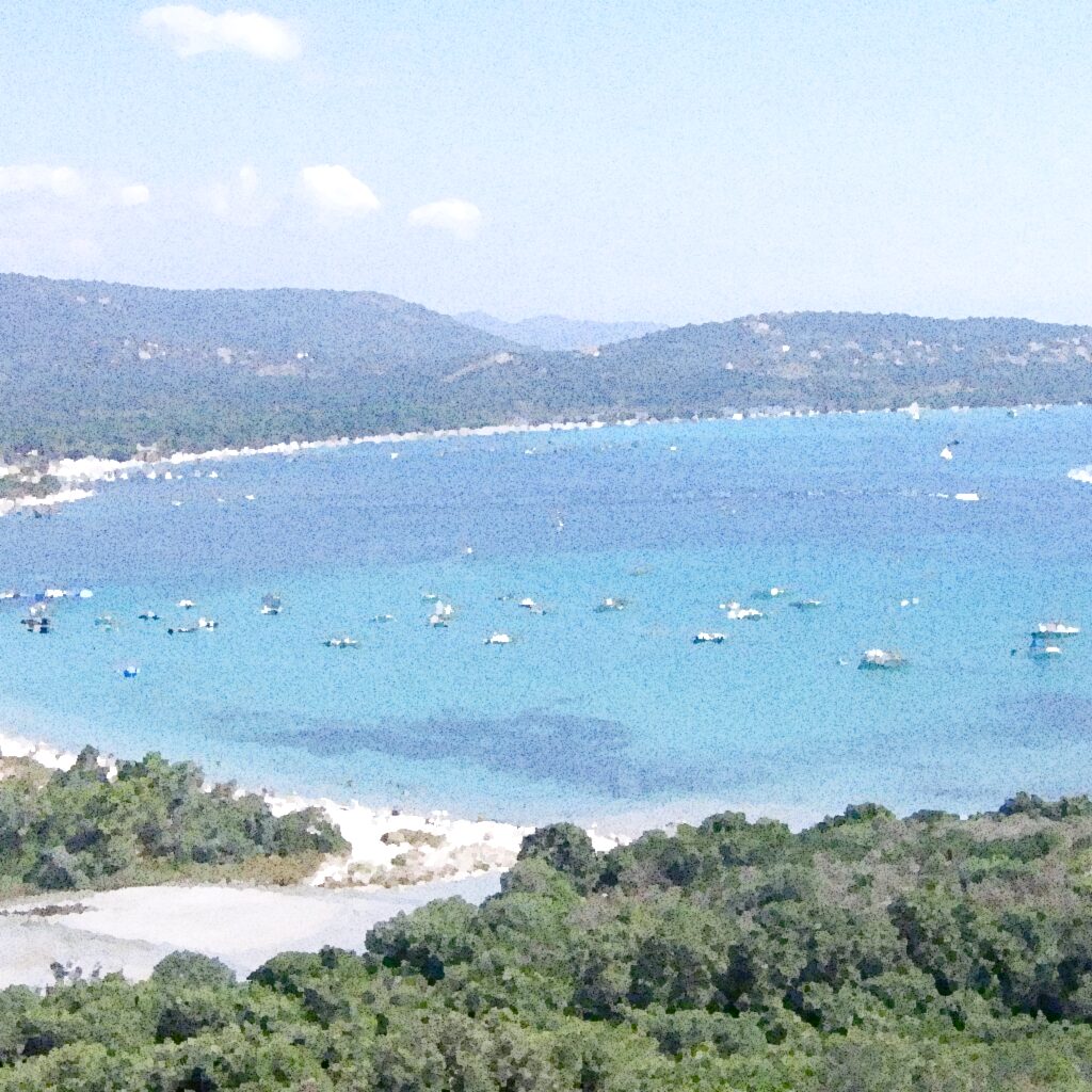 Lecci