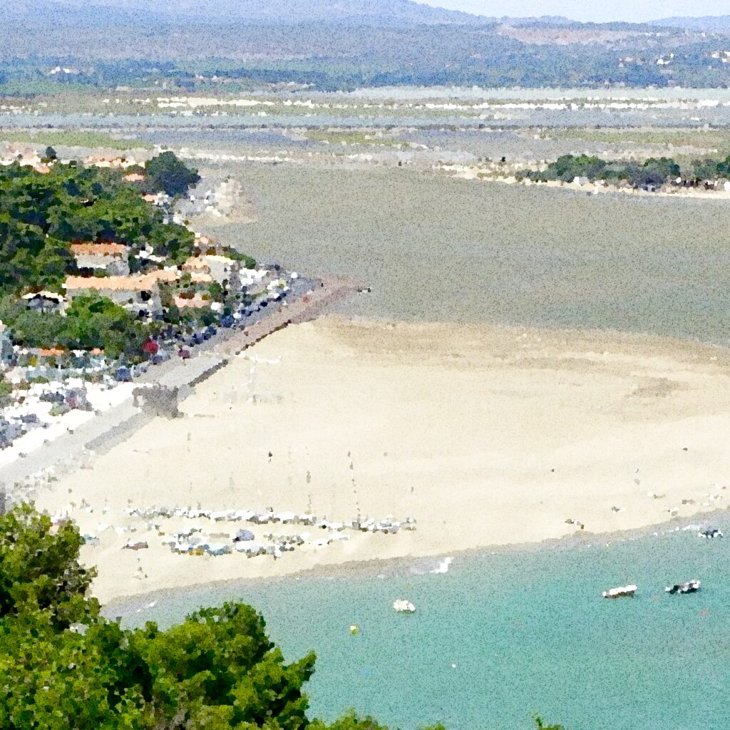 Leucate
