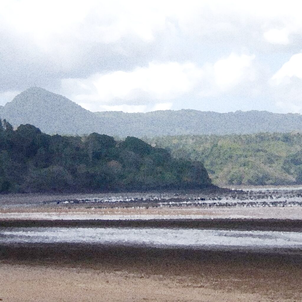 Tsingoni